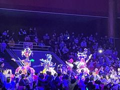 -珠海横琴长隆《卡卡虎奇遇记》