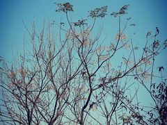 -盘龙城国家考古遗址公园