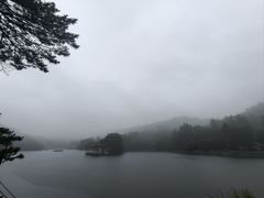 -庐山风景区花径公园