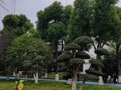 -堤角公园