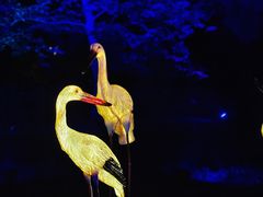 -茅山东方盐湖城景区