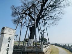 -观潮胜地公园