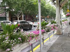 -中国福利会少年宫