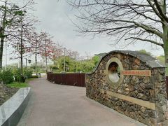 -王借岗森林公园