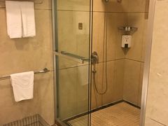 -圣爵菲斯大酒店(长沙世界之窗店)