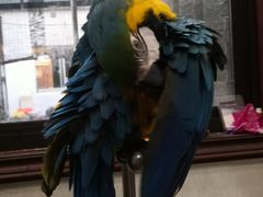 -观桥阁(锦溪店)