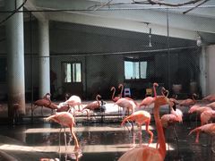 -石家庄市动物园