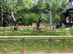 -沈阳森林动物园