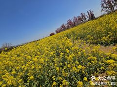 -君乐宝优致牧场