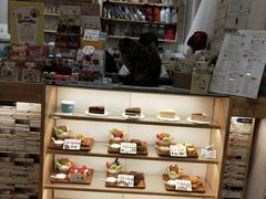 -猫的天空之城概念书店(苏州平江店)