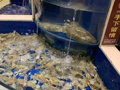 水产区-海景壹号大酒店(滨湖店)