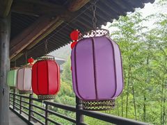 -大唐贡茶院