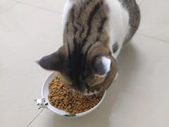 -青韵台陶艺Diy(永庆坊店)