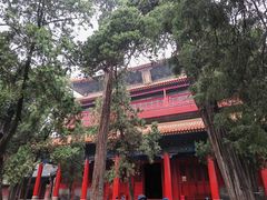 -孔府