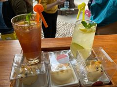 -柴犬高等学院·狗咖·柴犬售卖·宠物训练