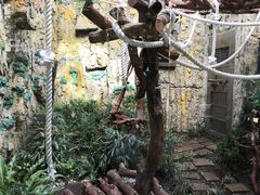 -石排湾郊野公园