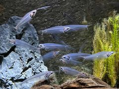 -上海海洋水族馆