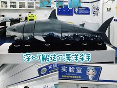 -沈阳海洋探索中心