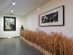 -北京盈之宝宝马&MINI4S店(望京店)