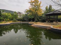 -太湖湾开元名庭大酒店