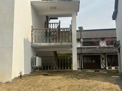 -大塘金香草谷