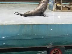 -洛阳龙门海洋馆
