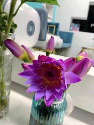 -斐尔国际皮肤管理中心