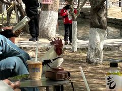 -春风习习