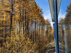 -莫尔道嘎国家森林公园