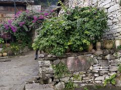 -高荡千年布依古寨旅游景区