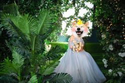 -韩慕婚纱摄影(九亭店)