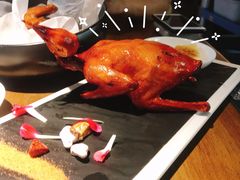 红烧鸽-大鸽饭(岗顶店)