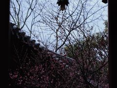 -慧因高丽寺