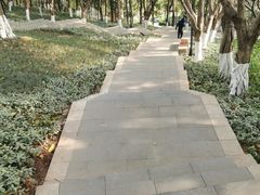 -龙头寺公园