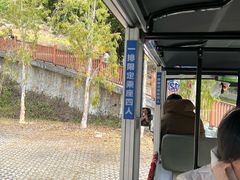 -广东惠东海龟国家级自然保护区