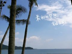 -鱼鼎香烤鱼火锅(华发商都店)