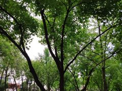 -唐城墙遗址公园