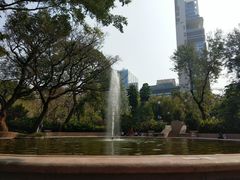 -九龙公园