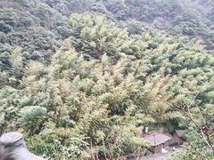-宁波五龙潭景区