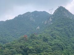-南丹山森林王国