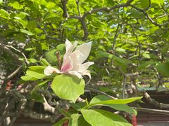 -阳坊大都涮羊肉(十里堡店)