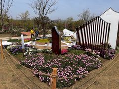 -苏州上方山国家森林公园