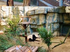 -泉州海丝野生动物世界