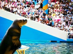 -秦皇岛乐岛海洋王国