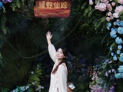 -沂蒙云瀑洞天景区