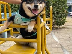 -美迦爱-牙专科·兔科·骨科诊疗中心(北苑店)