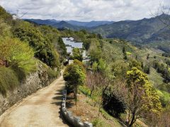-石潭村