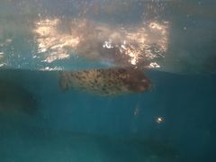 -锦艺城海洋馆