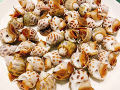 海螺-启东海鲜人家(古美路店)