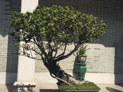 -黄埔古港
